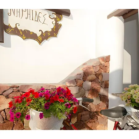 Niriides 3* Pachaina